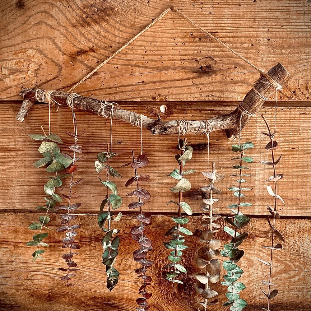 Eucalyptus Wall Hamging